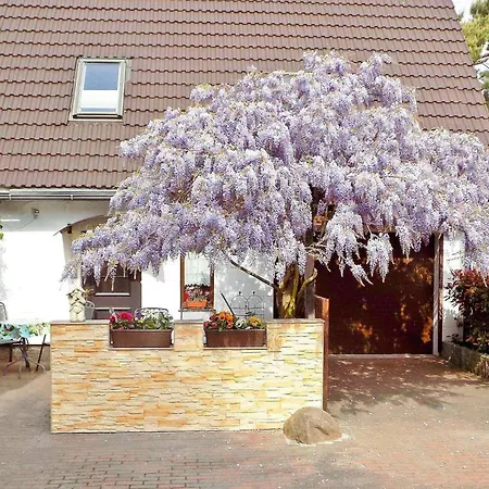 Ferienhaus Seebad 度假居 于克里茨